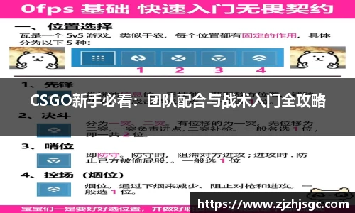 CSGO新手必看:团队配合与战术入门全攻略